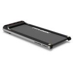 Беговые дорожки