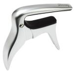 Каподастры