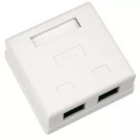 Компьютерная розетка Vinga RJ45x2 UTP cat.5e 8P8C Фото