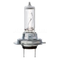 Автолампа Bosch галогенова 55W Фото