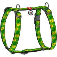 Шлей для собак WAUDOG Nylon с QR паспортом анатомическая H-образная "Аво Фото