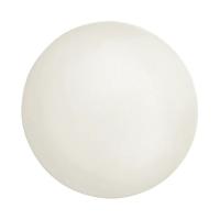 Тарелка Seltmann Weiden Maxim Coup Fine Dining кругла 28 см Фото