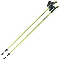 Палки для скандинавской ходьбы Gabel Light NCS 125 (7009341361250) Фото