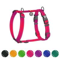 Шлей для собак WAUDOG Nylon Mono анатомическая H-образная с QR паспортом Фото