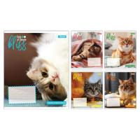 Зошит 1 вересня Bliss А5 12 аркушів лінія Фото