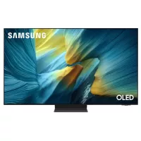 Телевізор Samsung QE55S95FAUXUA Фото