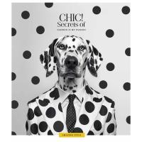 Зошит Школярик Fashion chic 36 аркушів клітинка Фото