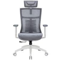 Офісне крісло OfficePro Balance OC620-W-DG-DG Фото