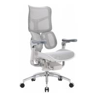 Офісне крісло Sihoo DORO S300 Mesh Light Grey Фото