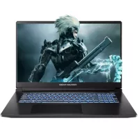 Ноутбук Dream Machines RT5050-17 Фото