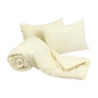 Одеяло Руно набор одеяло 200х220+2 подушки 50х70 Фото