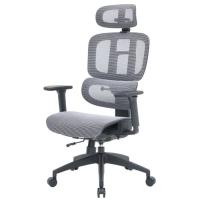 Офісне крісло OfficePro Skyline OC680-B-G-G Фото