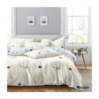 Постельное белье Viluta 24289 ранфорс двуспальный Фото