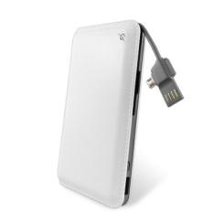 Батарея универсальная G.Power Bank DP923 12000mAh Фото