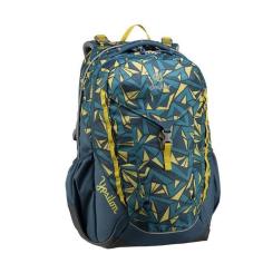 Рюкзак школьный Deuter Ypsilon 3063 arctic zigzag Фото