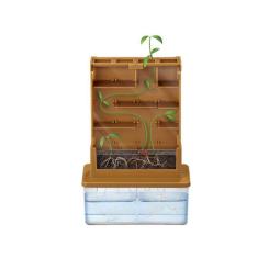 Набор для экспериментов 4М для досліджень Рослинний лабіринт Фото 2