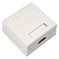 Компьютерная розетка Vinga RJ45x2 UTP cat.5e 8P8C Фото 1