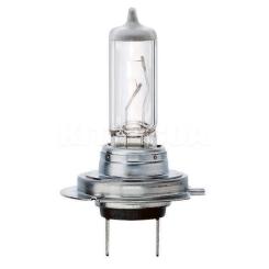 Автолампа Bosch галогенова 55W Фото