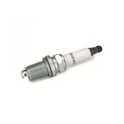 Свеча зажигания Champion OE129/T10 Фото