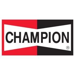 Воздушный фильтр для автомобиля Champion CAF100789P Фото