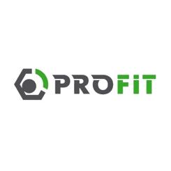 Воздушный фильтр для автомобиля Profit 1512-4087 Фото