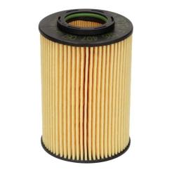 Фильтр масляный Bosch F 026 407 061 Фото