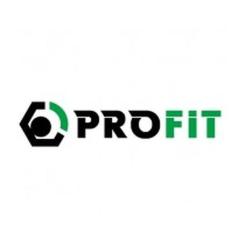 Воздушный фильтр для автомобиля Profit 1512-4276 Фото