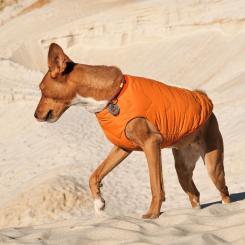 Жилет для животных Pet Fashion "E.Vest" XS-2 оранжевый Фото 3