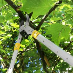 Секатор Gruntek телескопический XT 27-37 Premium Фото 6