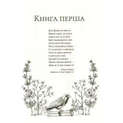 Книга Vivat Жорстокий принц - Голлі Блек Фото 5