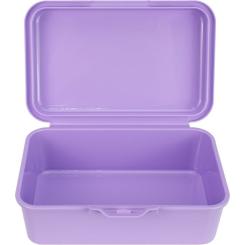 Ланч-бокс детский Economix SNACK 750 мл, сиреневый Фото 1