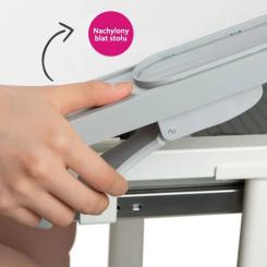 Парта со стулом FunDesk Littonia Grey Фото 10