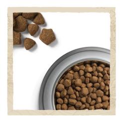 Сухой корм для собак Purina Dog Chow Adult Lamb зі смаком ягняти 2.5 кг Фото 9