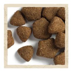 Сухой корм для собак Purina Dog Chow Adult Lamb зі смаком ягняти 2.5 кг Фото 8