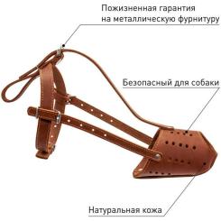 Намордник для собак Collar (доберман) коричневий Фото 2