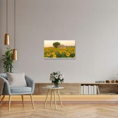 Телевизор THOMSON 32HA2S13W Фото 8