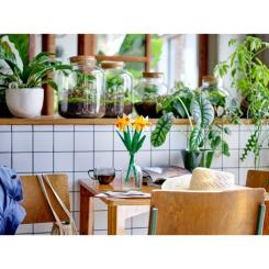 Конструктор LEGO Iconic Нарциссы 216 деталей Фото 6