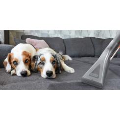 Пылесос Thomas 788121 Фото 2