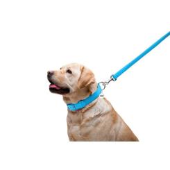 Поводок для собак WAUDOG Glamour кожаный M-XXL голубой Фото 4