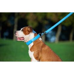 Поводок для собак WAUDOG Glamour кожаный M-XXL голубой Фото 6