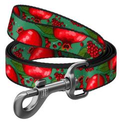 Поводок для собак WAUDOG Nylon "Гранаты" S Фото