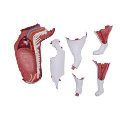 Пазл 4D Master Master Кот Фото 4