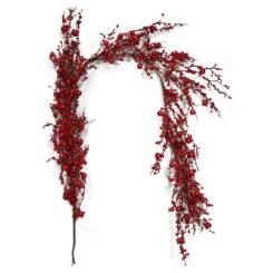 Декоративная ветвь YES! Fun Червоні ягоди 140 см Фото