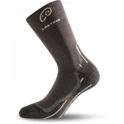 Термоноски Lasting трекінг WHI 721 L Фото