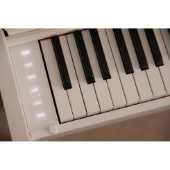 Цифровое пианино Casio AP-550WE Фото 3