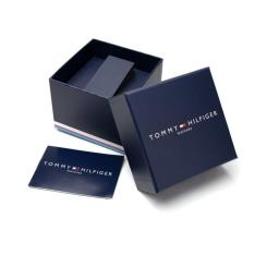 Наручные часы Tommy Hilfiger 1791082 Фото 1