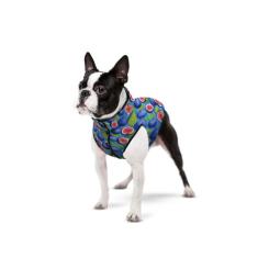 Курточка для животных WAUDOG Clothes Инжир XS 30 Фото 2