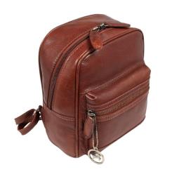 Рюкзак туристический Ashwood T87 Chestnut Фото 1