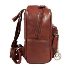 Рюкзак туристический Ashwood T87 Chestnut Фото 2