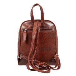 Рюкзак туристический Ashwood T87 Chestnut Фото 3